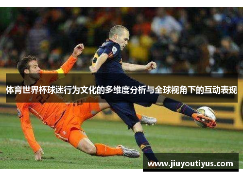 体育世界杯球迷行为文化的多维度分析与全球视角下的互动表现