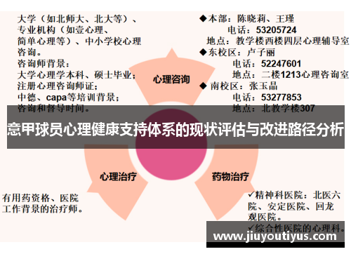意甲球员心理健康支持体系的现状评估与改进路径分析